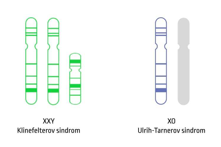 Информации за пореметувања на хромозомите X/Y
